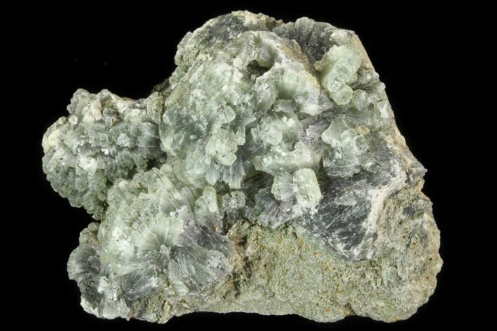 Green Prehnite Crystal Cluster - Morocco #80681